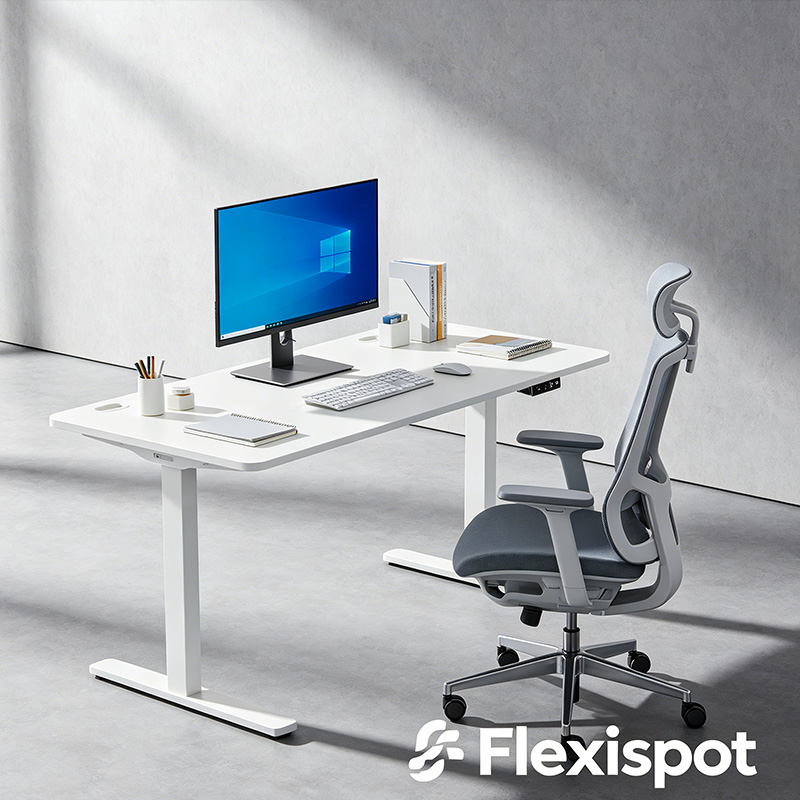 Flexispot ergonomic office furniture sourced by Buy Agent China - premium quality factory sample 04