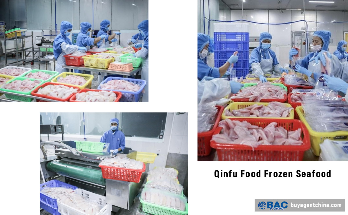 Qinfu Food Frozen Seafood 01