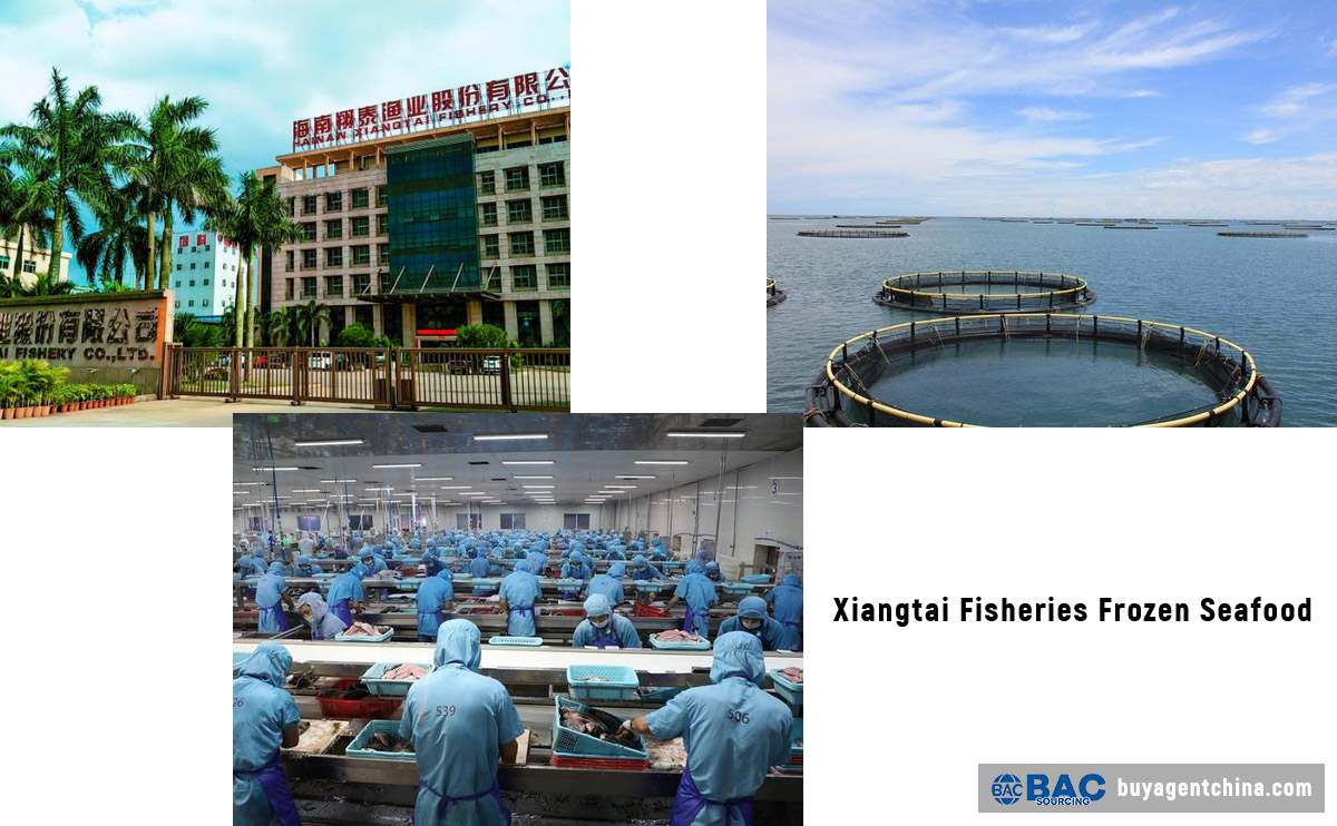 Xiangtai Fisheries Frozen Seafood 1